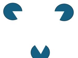 ?brizy media=8166&brizy crop=iW%3D253%26iH%3D211%26oX%3D0%26oY%3D0%26cW%3D253%26cH%3D190