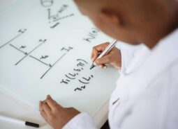 ?brizy media=3497&brizy crop=iW%3D260%26iH%3D186%26oX%3D2%26oY%3D0%26cW%3D255%26cH%3D186