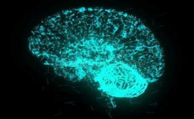 Brain - plasticity ?brizy media=3205&brizy crop=iW%3D623%26iH%3D315%26oX%3D103%26oY%3D0%26cW%3D416%26cH%3D315