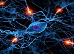 Neural innerspeech