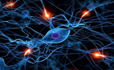 Neural innerspeech ?brizy media=3229&brizy crop=iW%3D603%26iH%3D315%26oX%3D93%26oY%3D0%26cW%3D416%26cH%3D315