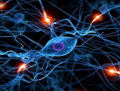 Neural innerspeech