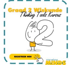 Thinking Tools Graad 2 Wiskunde program