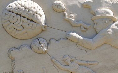 brain-1618377_1280 ?brizy media=1184&brizy crop=iW%3D472%26iH%3D315%26oX%3D28%26oY%3D0%26cW%3D416%26cH%3D315